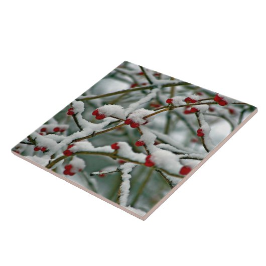 Red Berries im Winter Snow iPad Pro Cover Fliese (Seite)