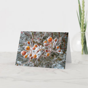 Red Berries Note Card eisbedeckt Feiertagskarte