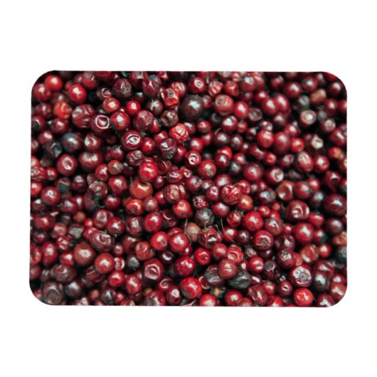Red berries of the Himalayas Magnet (Horizontal)