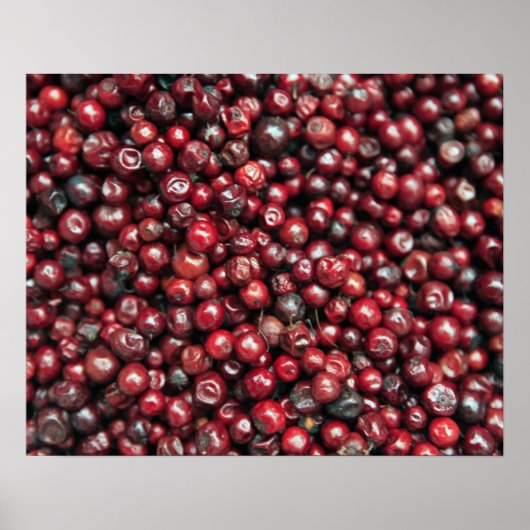 Red berries of the Himalayas Poster (Vorne)