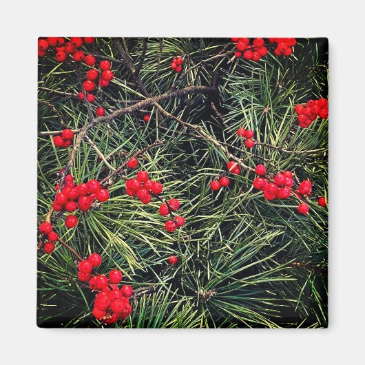 Red Berries Pine Needles Christmas Magnet (Vorne)