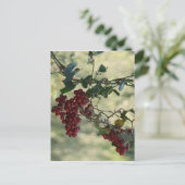 Red Berries Postcard Postkarte (Stehend Vorderseite)
