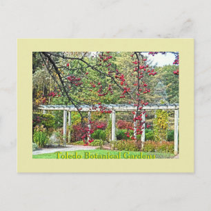 RED BERRIES UND PERGOLA TOLEDO BOTANICAL GARDENS POSTKARTE