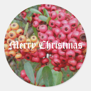Red Berries Weihnachtskleber Runder Aufkleber