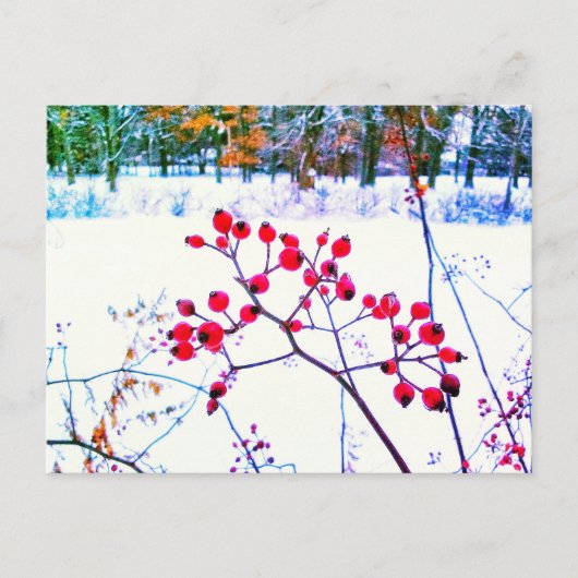 RED BERRIES WINTER POSTCARD FEIERTAGSPOSTKARTE (Vorderseite)