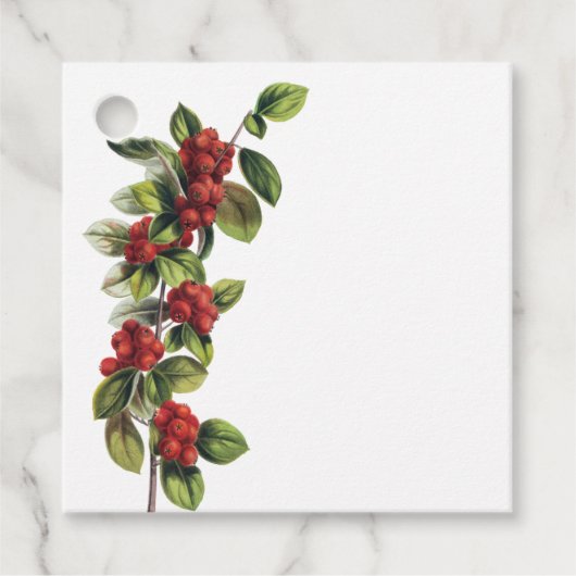 Red Berry Branch Weihnachtsgeschenke Tags Geschenkanhänger (Vorderseite)