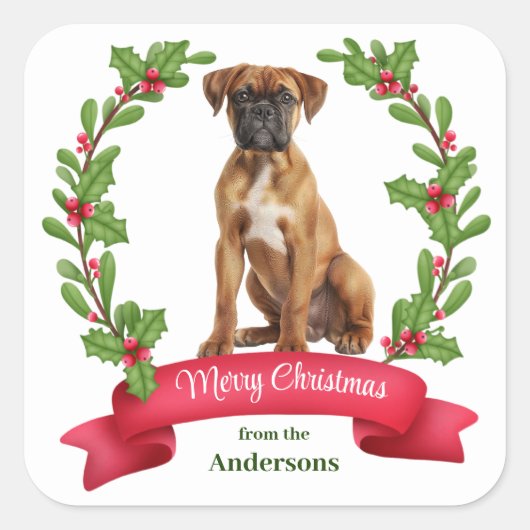 Red Berry Holly Banner Boxer Dog Weihnachten Quadratischer Aufkleber (Vorderseite)