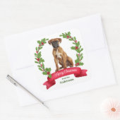 Red Berry Holly Banner Boxer Dog Weihnachten Quadratischer Aufkleber (Umschlag)