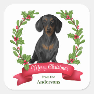 Red Berry Holly Banner Dackel Weihnachten Quadratischer Aufkleber