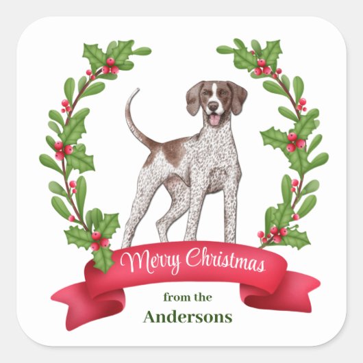 Red Berry Holly Banner Pointer Dog Weihnachten Quadratischer Aufkleber (Vorderseite)