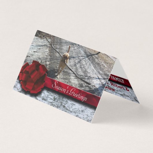 Red Berry Ribbon Snow (Vorderseite)