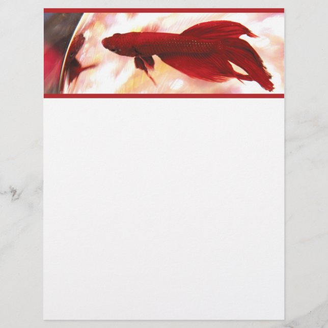 Red Betta Fish (Vorderseite)