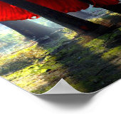 Red Betta Fish Poster (Ecke)