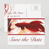 Red Betta Fish Save the Date Ankündigungspostkarte (Vorne/Hinten)