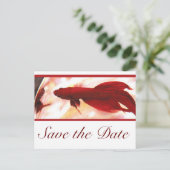 Red Betta Fish Save the Date Ankündigungspostkarte (Stehend Vorderseite)