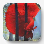 Red Betta Pappteller (Vorderseite)