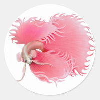 Red Betta Splendens Fish Sticker