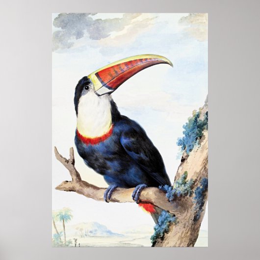 Red Billed Toucan,  Poster (Vorne)