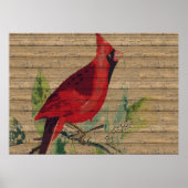 Red Bird Kardinal Foto Nature Wall Poster (Vorne)