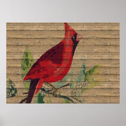 Red Bird Kardinal Foto Nature Wall Poster (Vorne)