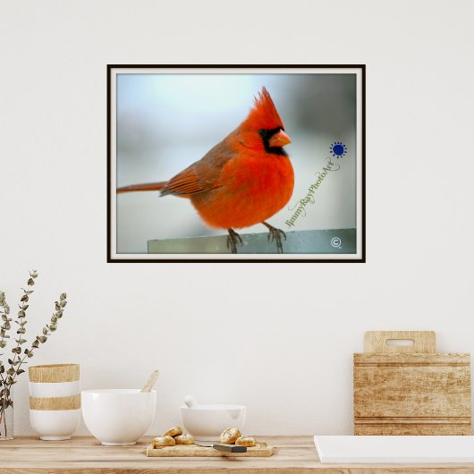 Red Bird Kardinal Poster (Küche)