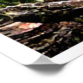 RED BIRD POSTER (Ecke)