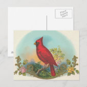 Red Bird Postkarte (Vorne/Hinten)