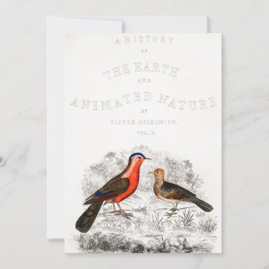 Red Birds Couple Timothee chalamet, ruf mich von d Einladung (Vorderseite)