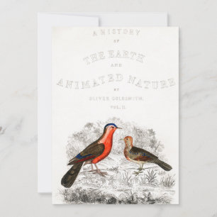 Red Birds Couple Timothee chalamet, ruf mich von d Einladung