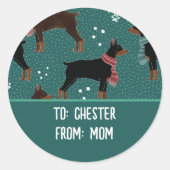 Red & Black Dobermans in Scarves Wintermuster Runder Aufkleber (Vorderseite)