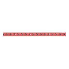 Red Black Ladybugs Birthday Ripsband