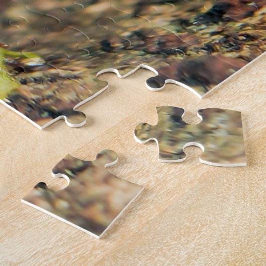 Red & Black Poison Dart Frosch Puzzle (Seite)