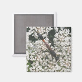 Red & Black Wasp Magnet (Vorderseite/Rückseite)