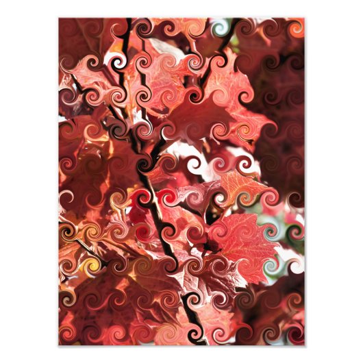 RED-BLÄTTER FOTODRUCK (Vorne)