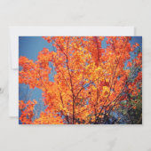 Red Blätter Pastor Wertungsschrift Dankeschön Dank Einladung (Rückseite)