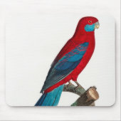 Red Blue Crimson Rosella Parrots Mousepad (Vorne)