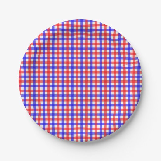 Red Blue Gingham Kariert Pattern Pappteller (Vorderseite)