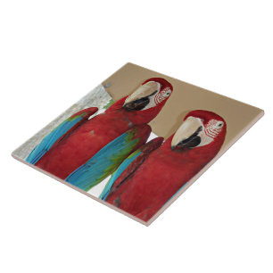 Red Blue Green Macaws Fliese
