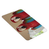 Red Blue Green Macaws Magnet (Rechte Seite)