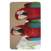 Red Blue Green Macaws Magnet (Vertikal)