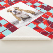 Red Blue Kariert Bulldog Hund Foto Sherpadecke (3/4)