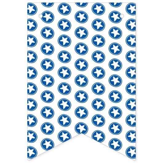 Red & Blue Stars Pattern - Patriotic / 4. Juli Wimpelkette (Zweite Fahne)