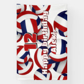 red blue volleyballs kids birthday party banner (Vertikal)
