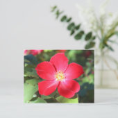 Red Blume # 2 Postkarte (Stehend Vorderseite)