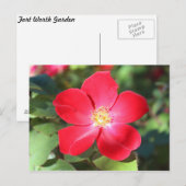 Red Blume # 2 Postkarte (Vorne/Hinten)