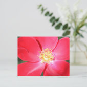 Red Blume # 3 Postkarte (Stehend Vorderseite)