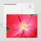 Red Blume # 3 Postkarte (Vorne/Hinten)