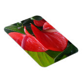 Red Blume 3"x4"-Magnet Magnet (Rechte Seite)