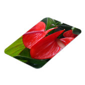Red Blume 3"x4"-Magnet Magnet (Linke Seite)