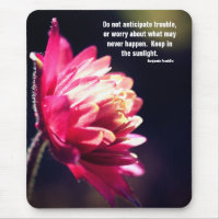 Red Blume Attitude Zitat Inspiration